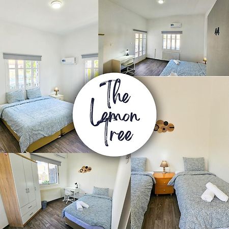The Lemon Tree Hostel Larnaca Eksteriør billede